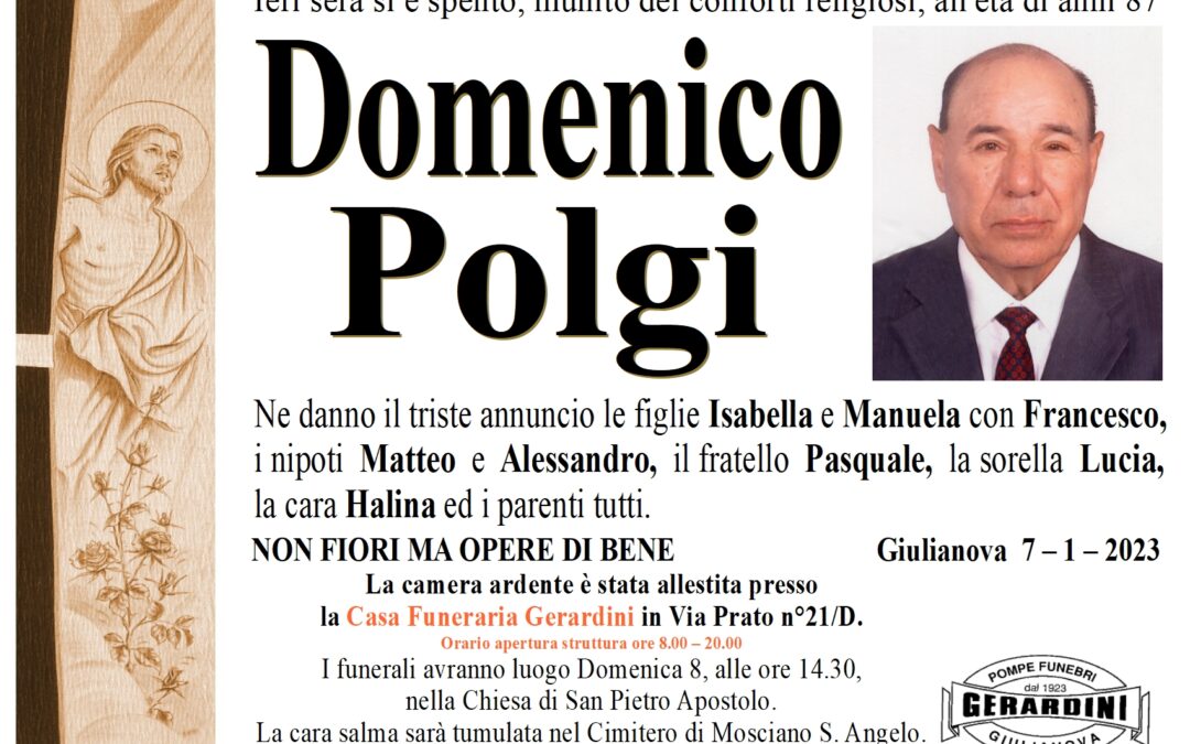 DOMENICO POLGI