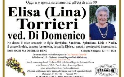 ELISA TORRIERI VED. DI DOMENICO